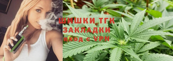 прущие крисы Бородино